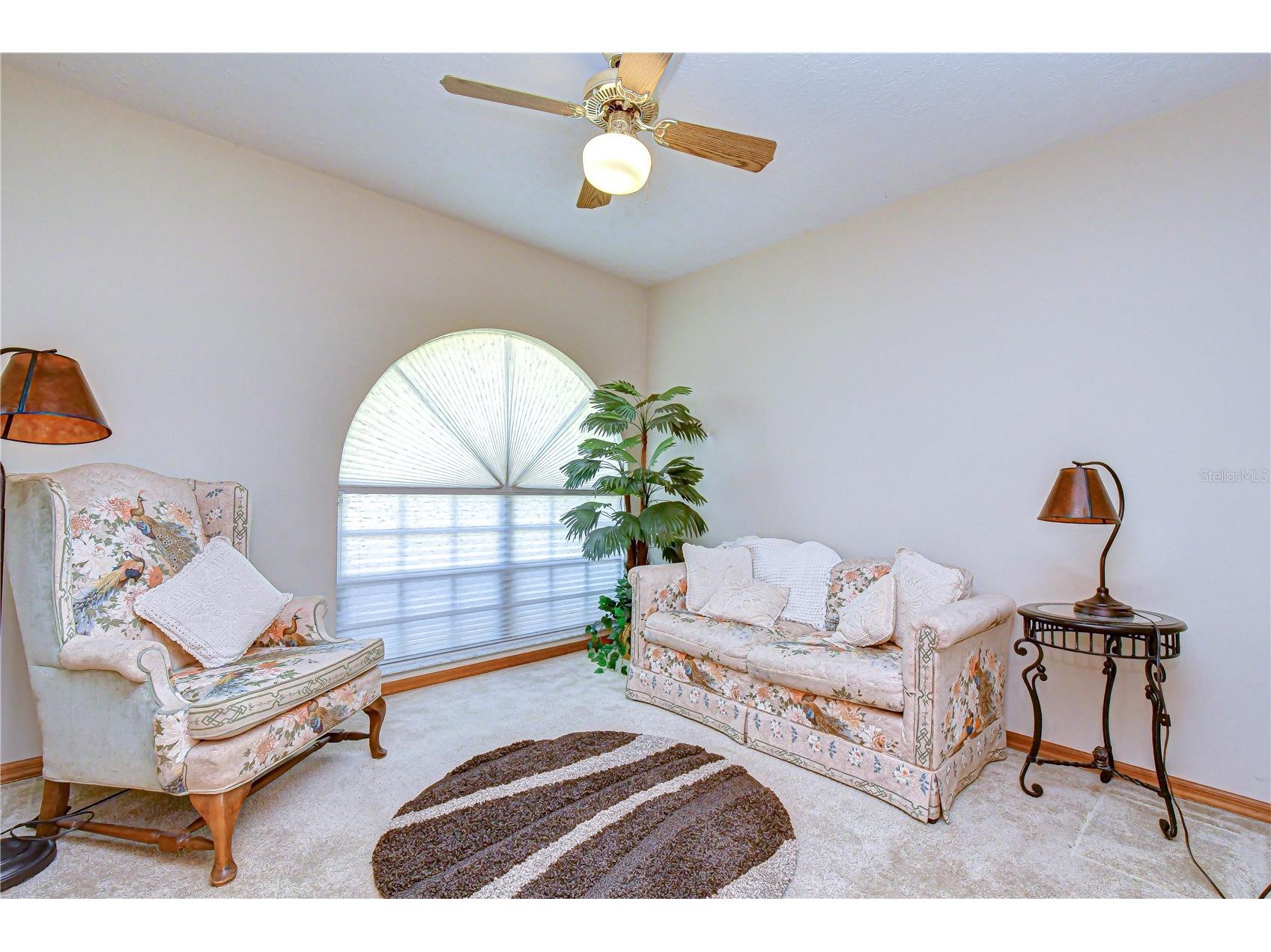 3522 Springville Drive Valrico FL 33596 TB8499663 image6