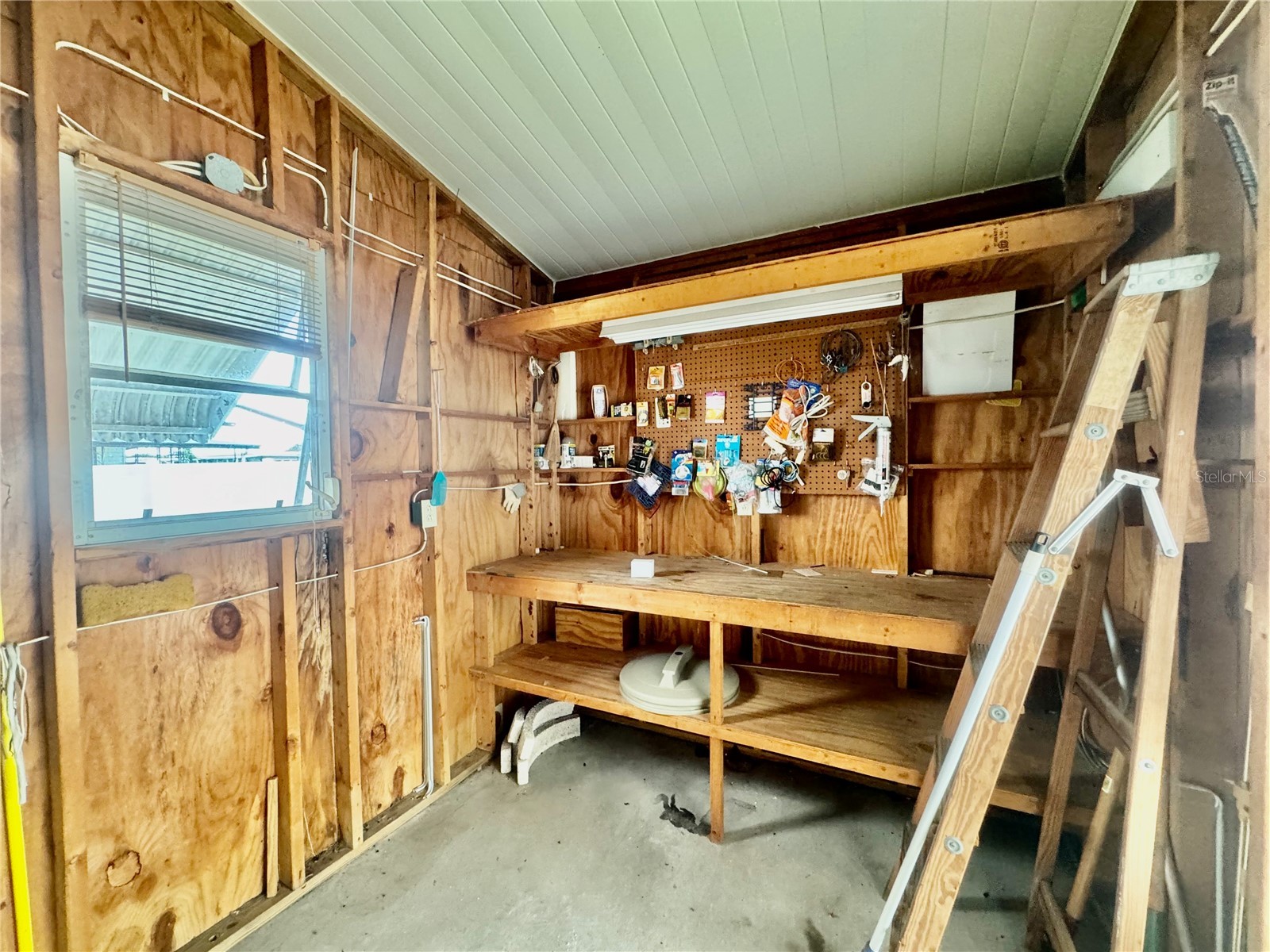 35220 Dodie Drive #13 Zephyrhills FL 33541 TB8509909 image18
