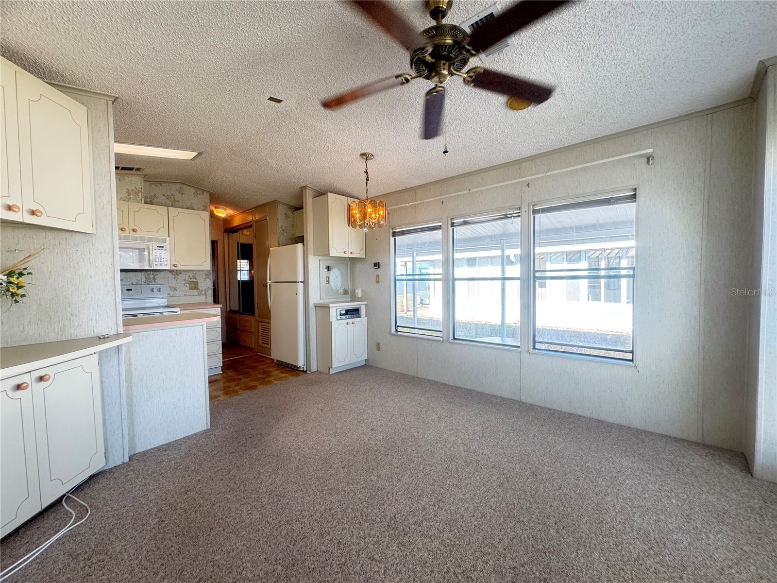 35220 Dodie Drive #13 Zephyrhills FL 33541 TB8509909 image6