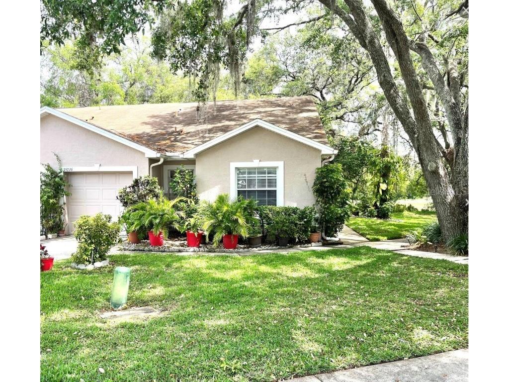 35226 Janine Drive Zephyrhills FL 33541 T3540619 image1