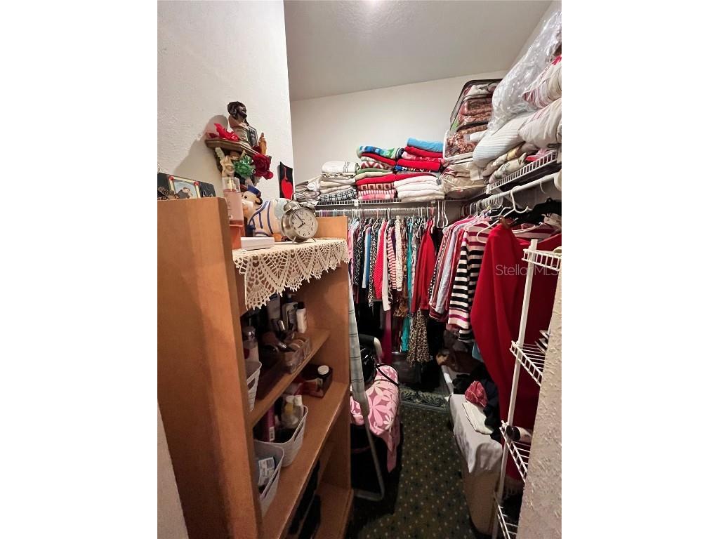 35226 Janine Drive Zephyrhills FL 33541 T3540619 image20