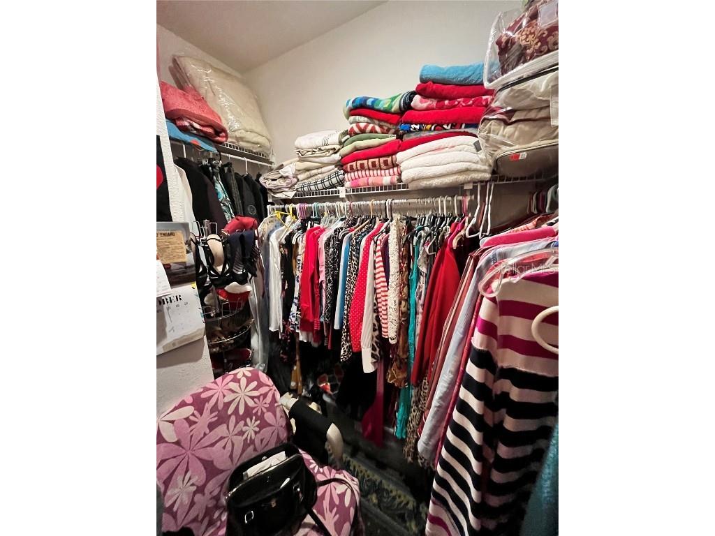 35226 Janine Drive Zephyrhills FL 33541 T3540619 image21