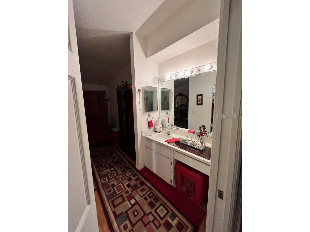 35226 Janine Drive Zephyrhills FL 33541 T3540619 image22