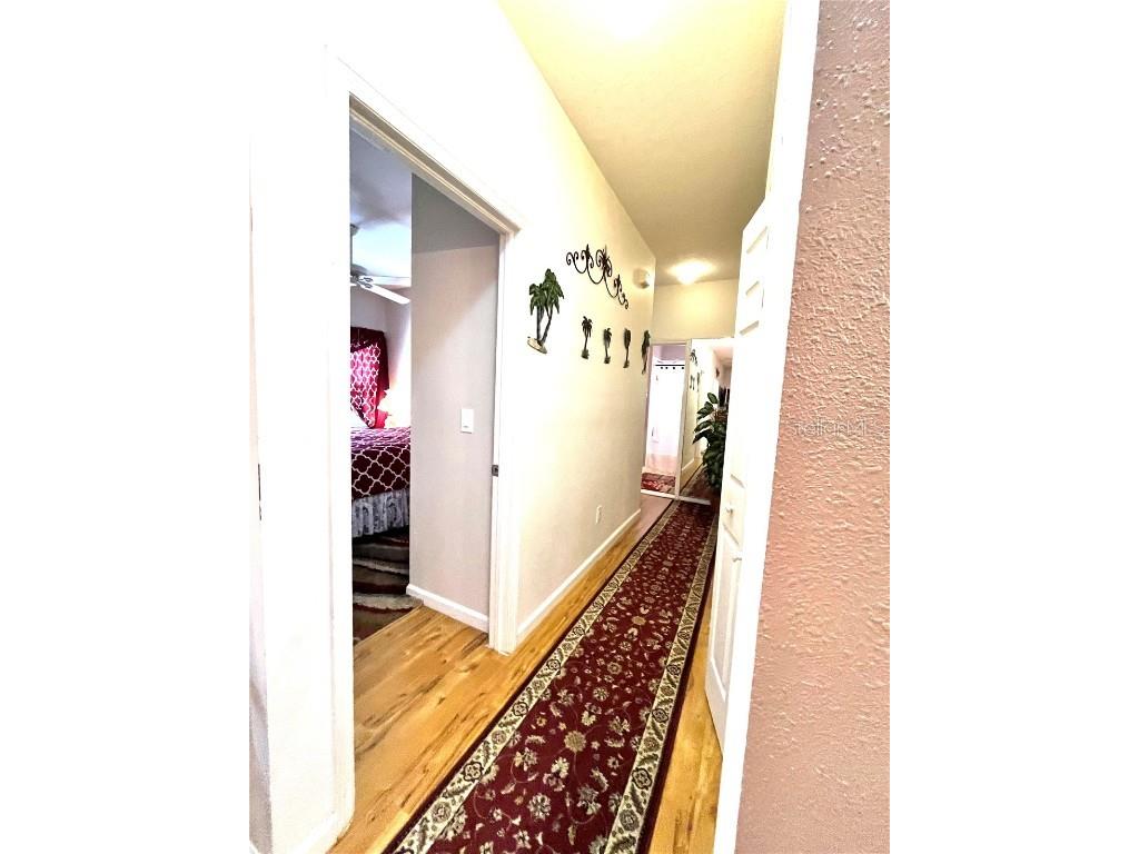 35226 Janine Drive Zephyrhills FL 33541 T3540619 image29