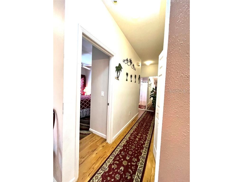 35226 Janine Drive Zephyrhills FL 33541 T3540619 image30