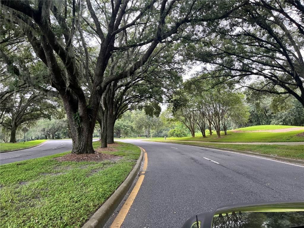 35226 Janine Drive Zephyrhills FL 33541 T3540619 image35