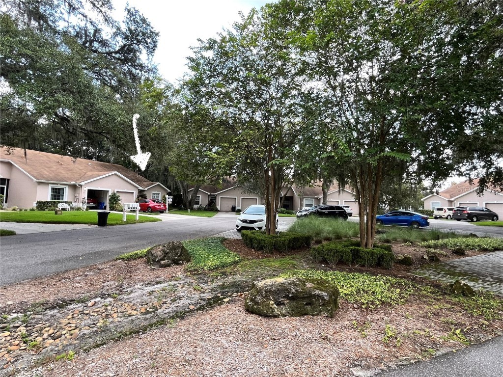 35226 Janine Drive Zephyrhills FL 33541 T3540619 image36