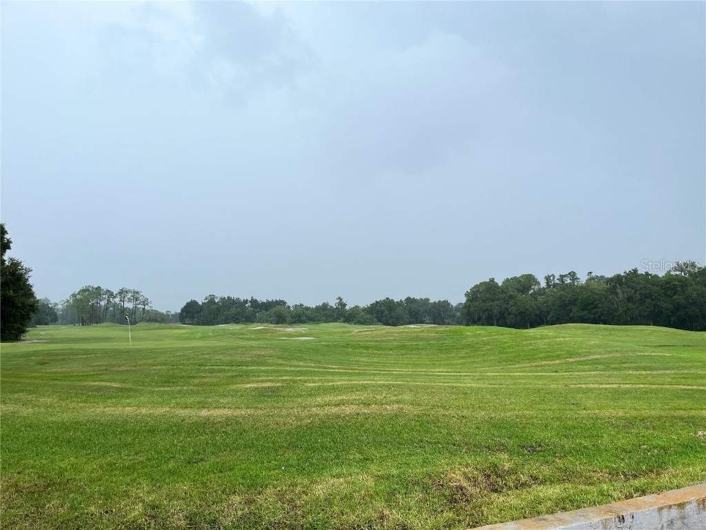 35226 Janine Drive Zephyrhills FL 33541 T3540619 image38