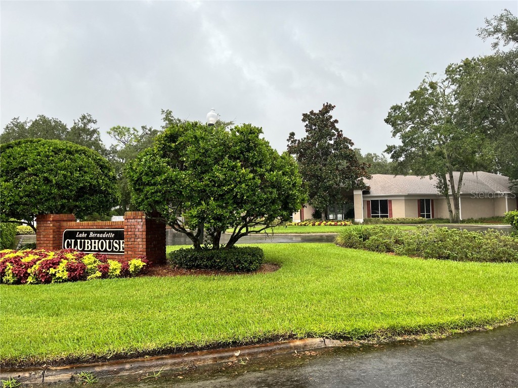 35226 Janine Drive Zephyrhills FL 33541 T3540619 image40