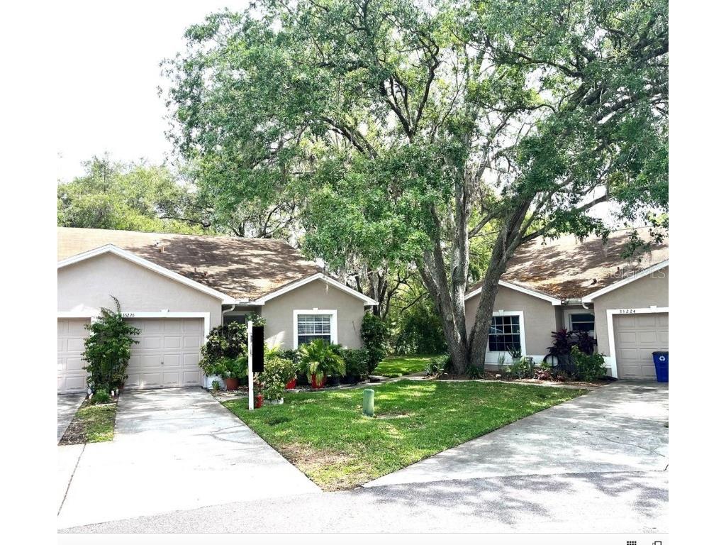 35226 Janine Drive Zephyrhills FL 33541 T3540619 image42