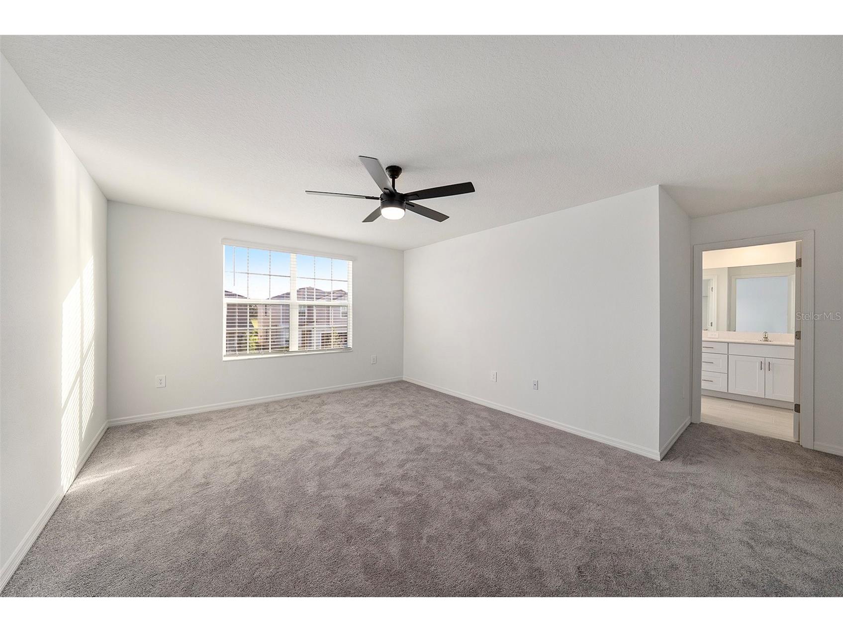 35233 Gravelly Drive Zephyrhills FL 33541 S5147040 image15