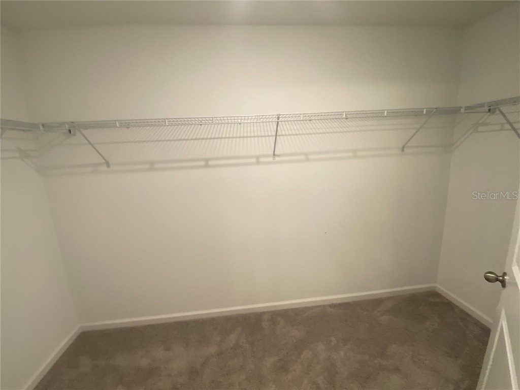 35233 White Water Lily Way Zephyrhills FL 33541 TB8403137 image12