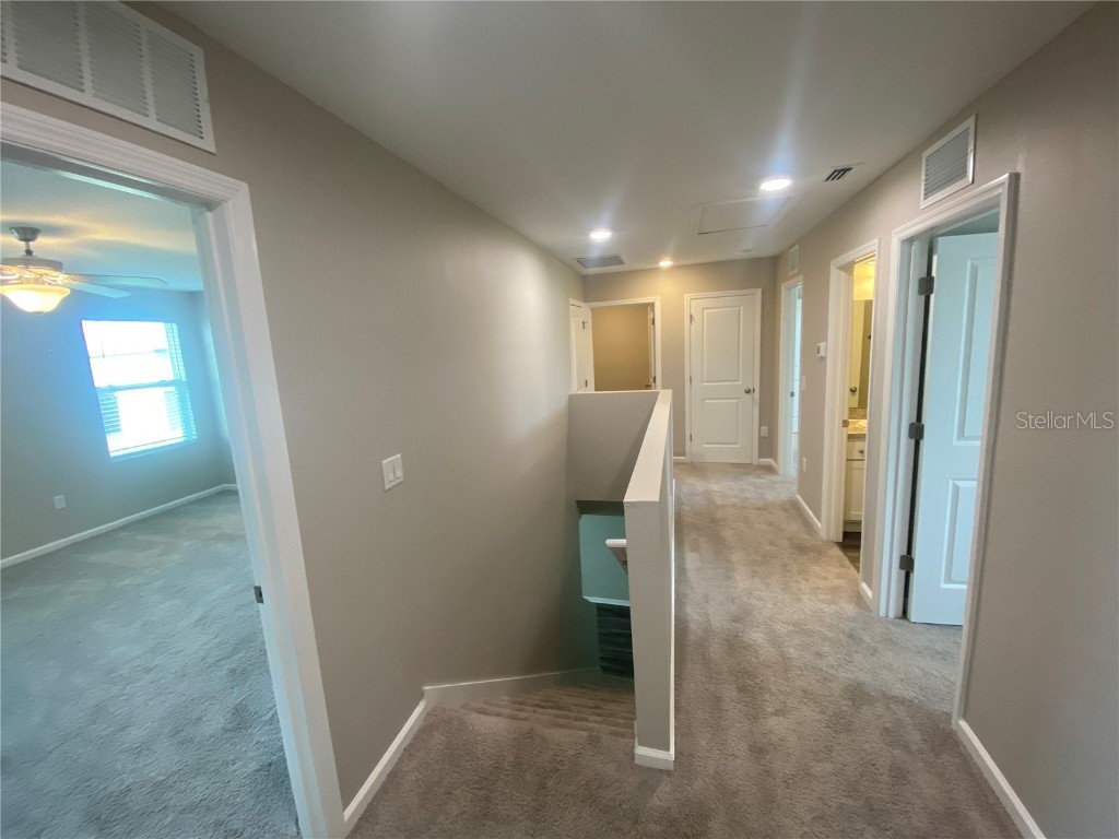 35233 White Water Lily Way Zephyrhills FL 33541 TB8403137 image15