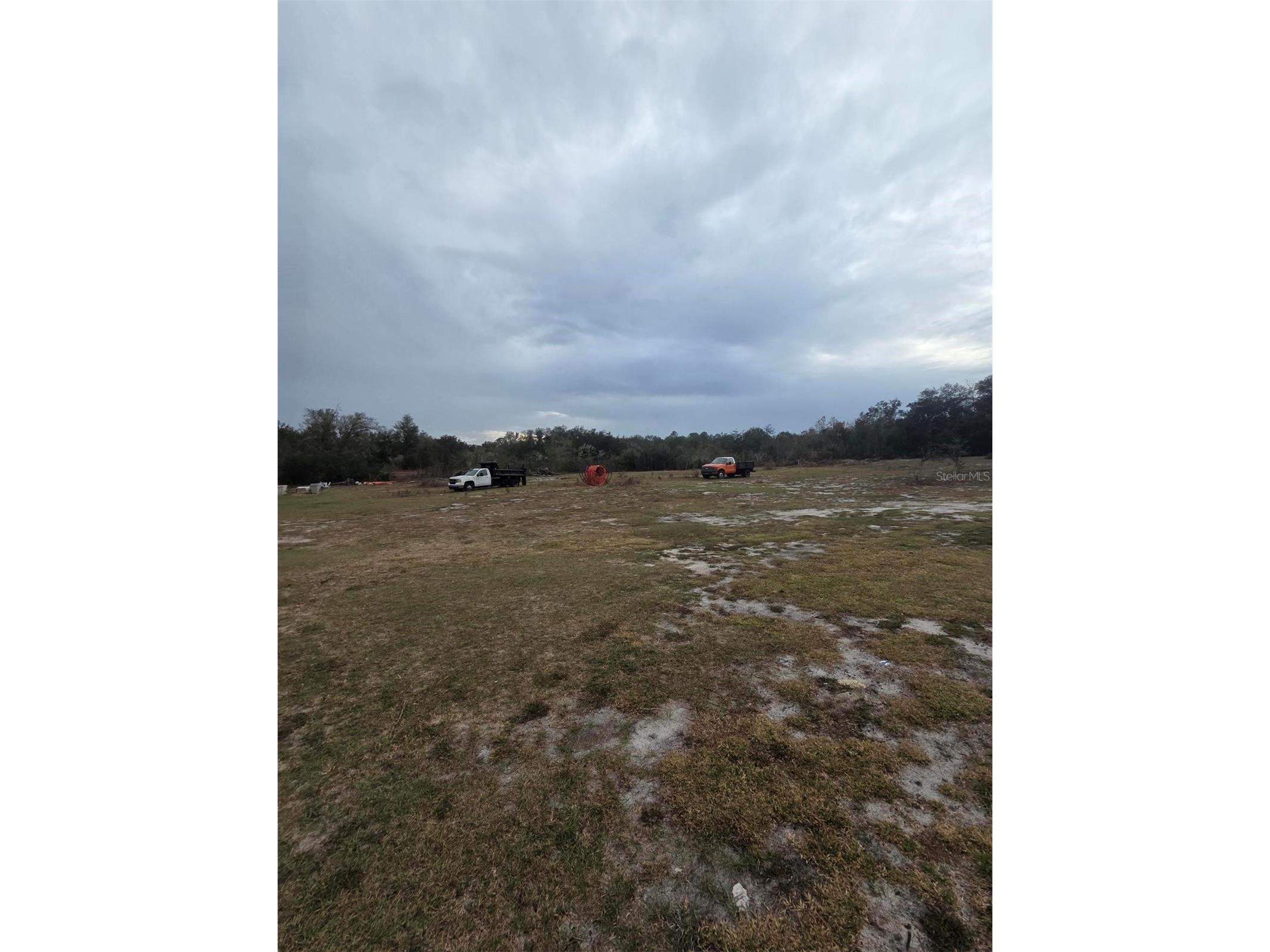 35238 Manuel Street Webster FL 33597 TB8459485 image4
