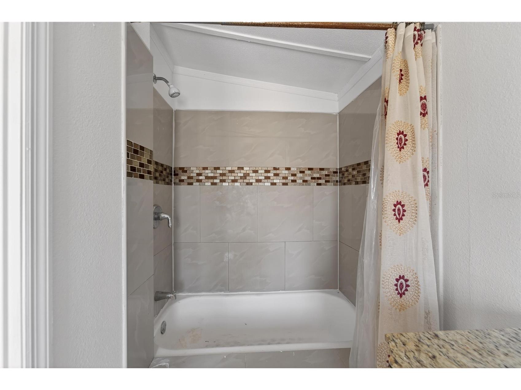 35238 Manuel Street Webster FL 33597 TB8480885 image33