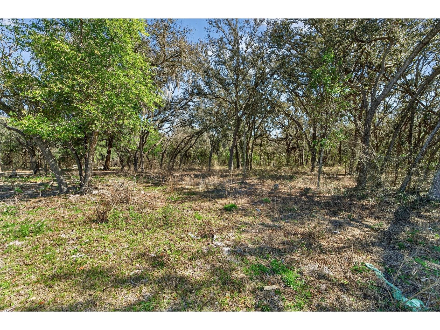35238 Manuel Street Webster FL 33597 TB8480885 image4