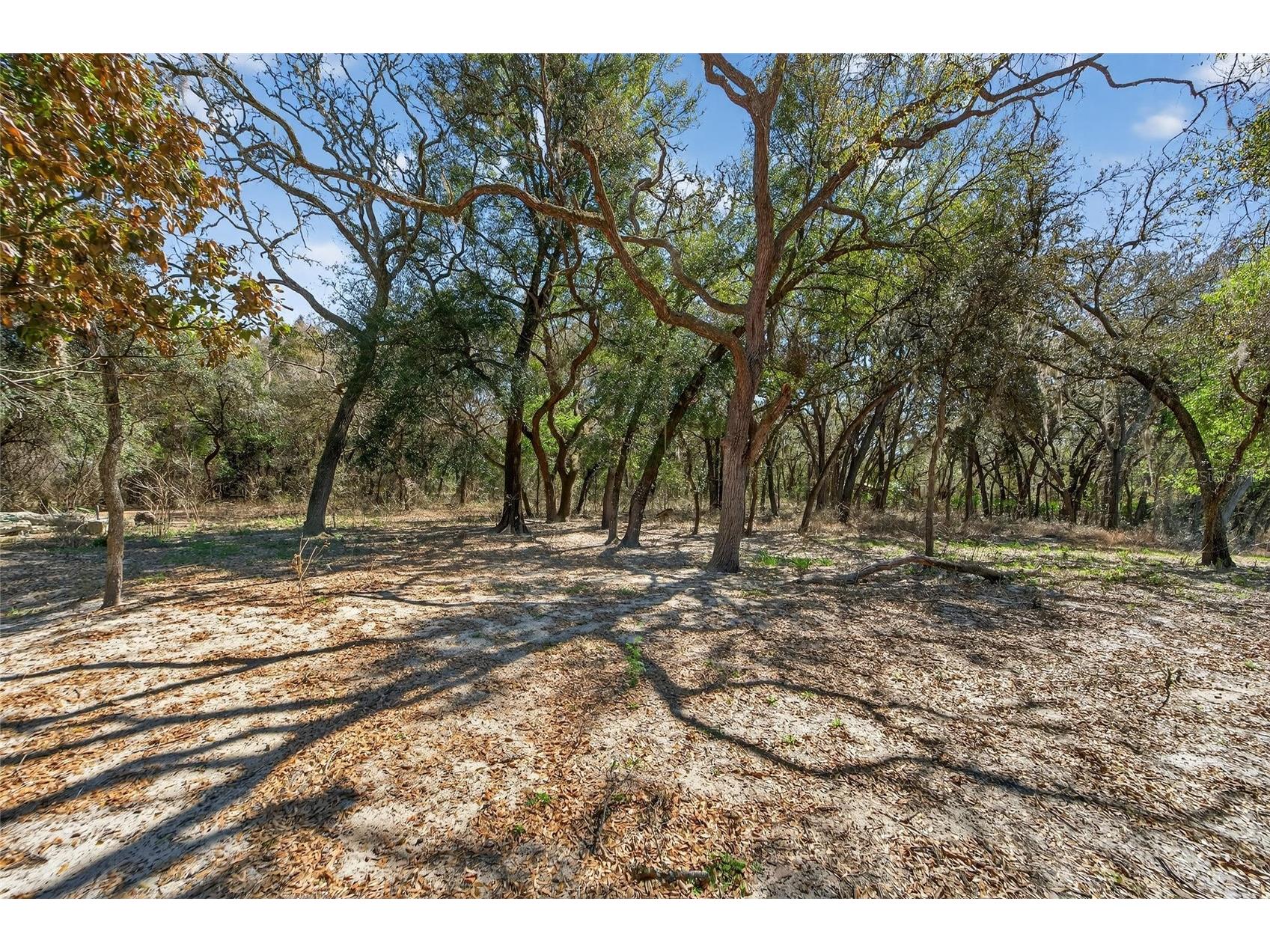 35238 Manuel Street Webster FL 33597 TB8480885 image49