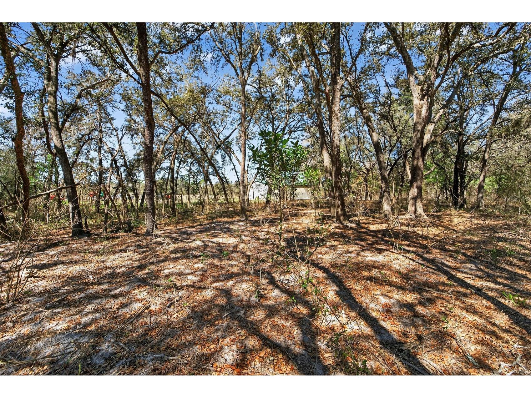 35238 Manuel Street Webster FL 33597 TB8480885 image51