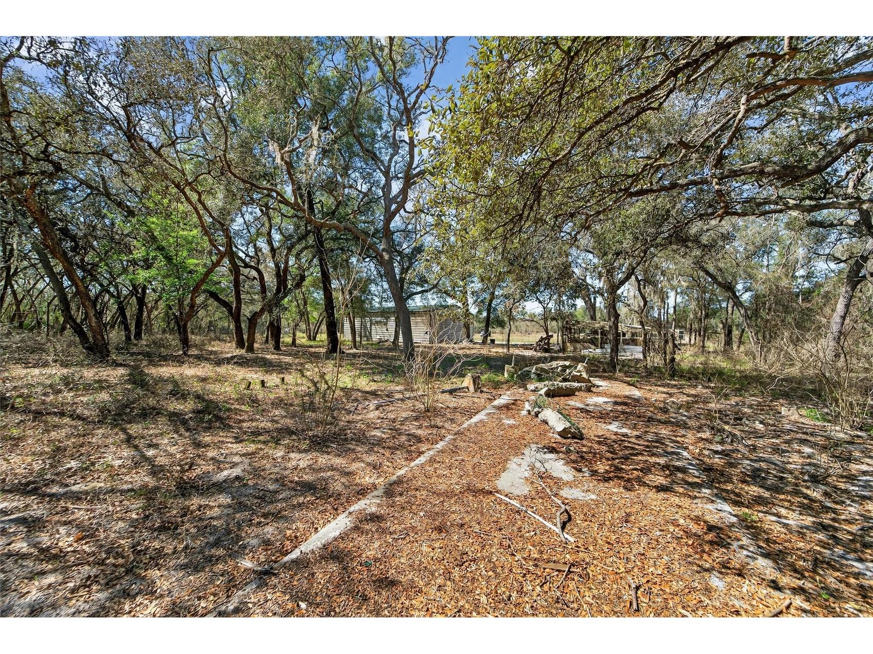 35238 Manuel Street Webster FL 33597 TB8480885 image52