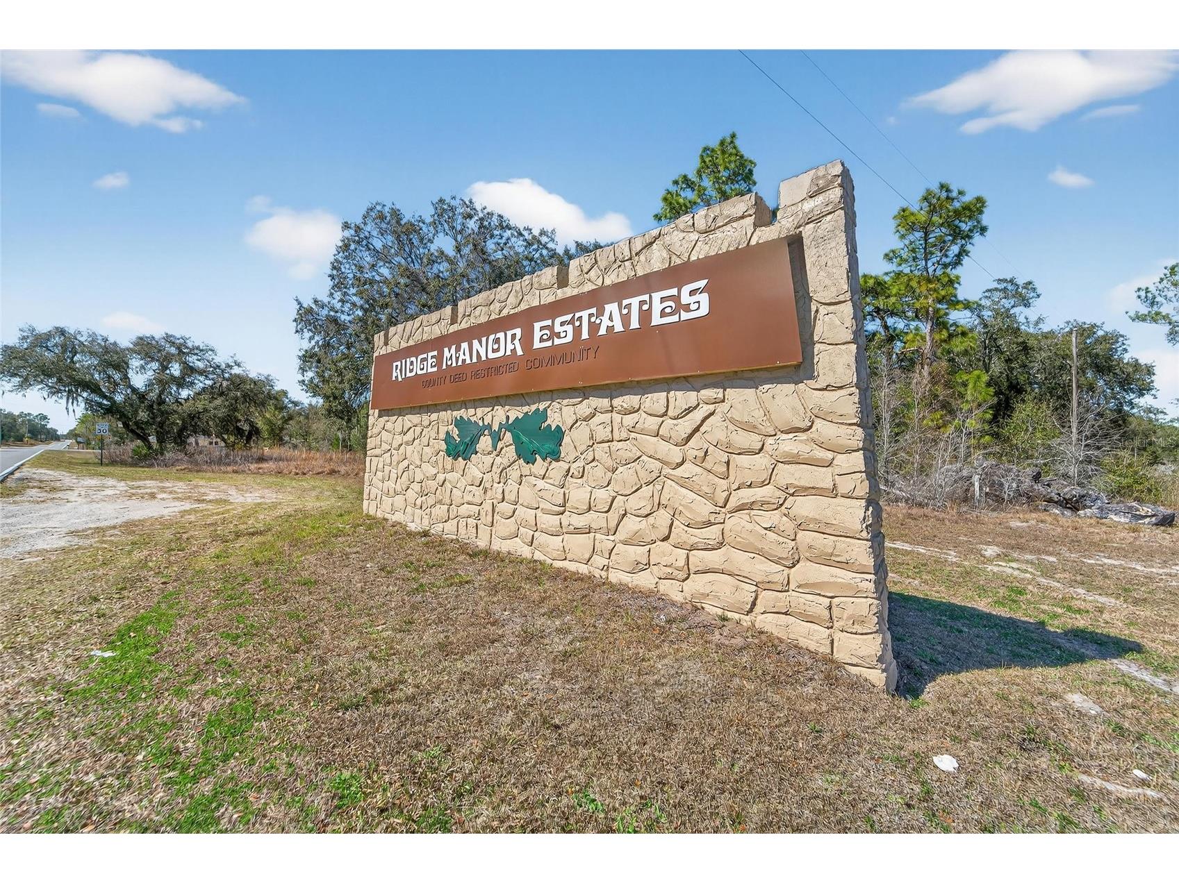 35238 Manuel Street Webster FL 33597 TB8480885 image65