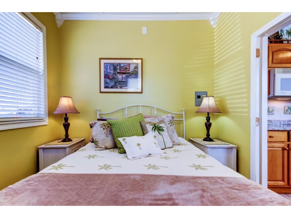 3524 Peridot Lane Zephyrhills FL 33540 TB8380481 image20