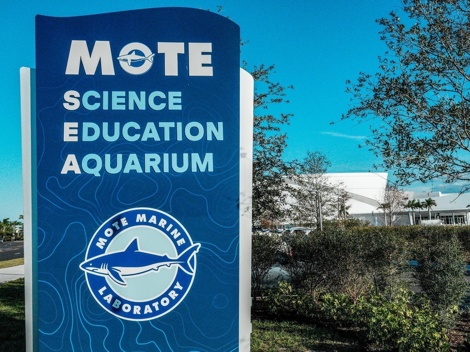 3524 Prado Drive Sarasota FL 34235 A4680430 image83