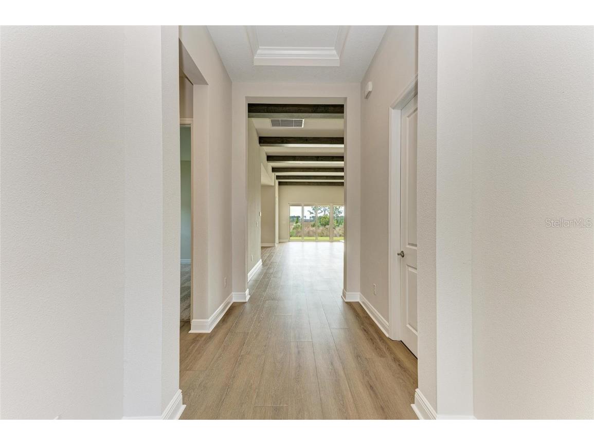 35244 Big Hawk Drive Zephyrhills FL 33541 TB8454929 image12