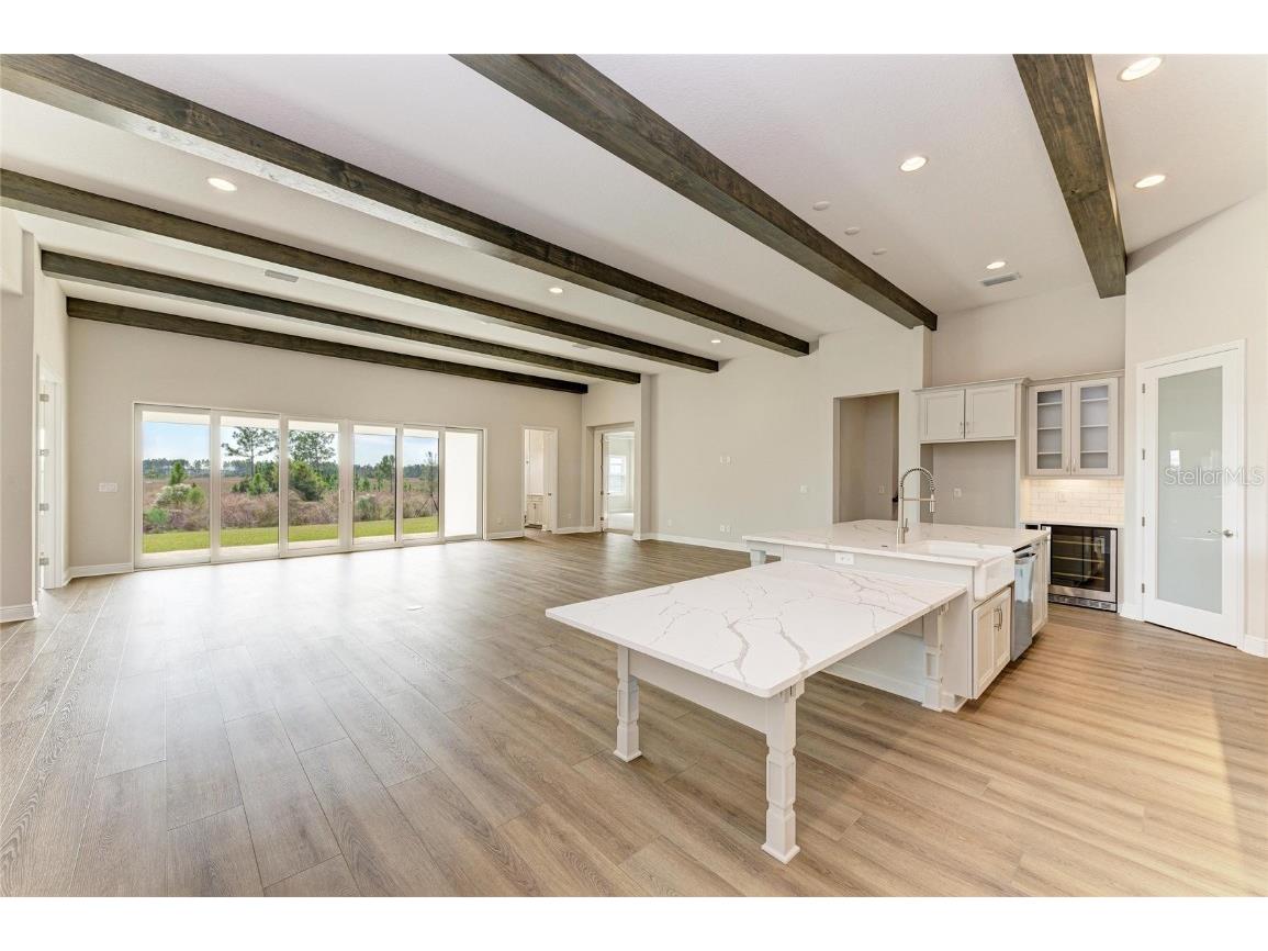 35244 Big Hawk Drive Zephyrhills FL 33541 TB8454929 image16