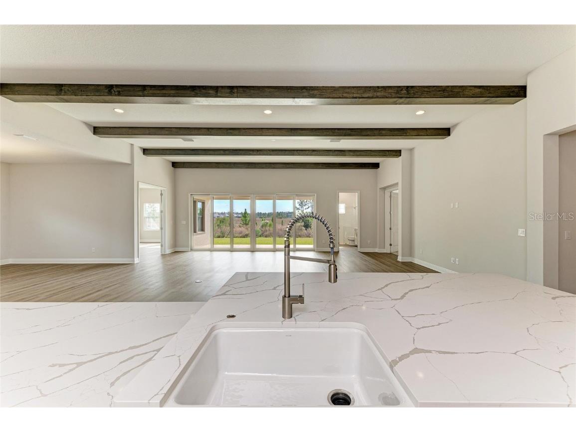 35244 Big Hawk Drive Zephyrhills FL 33541 TB8454929 image17