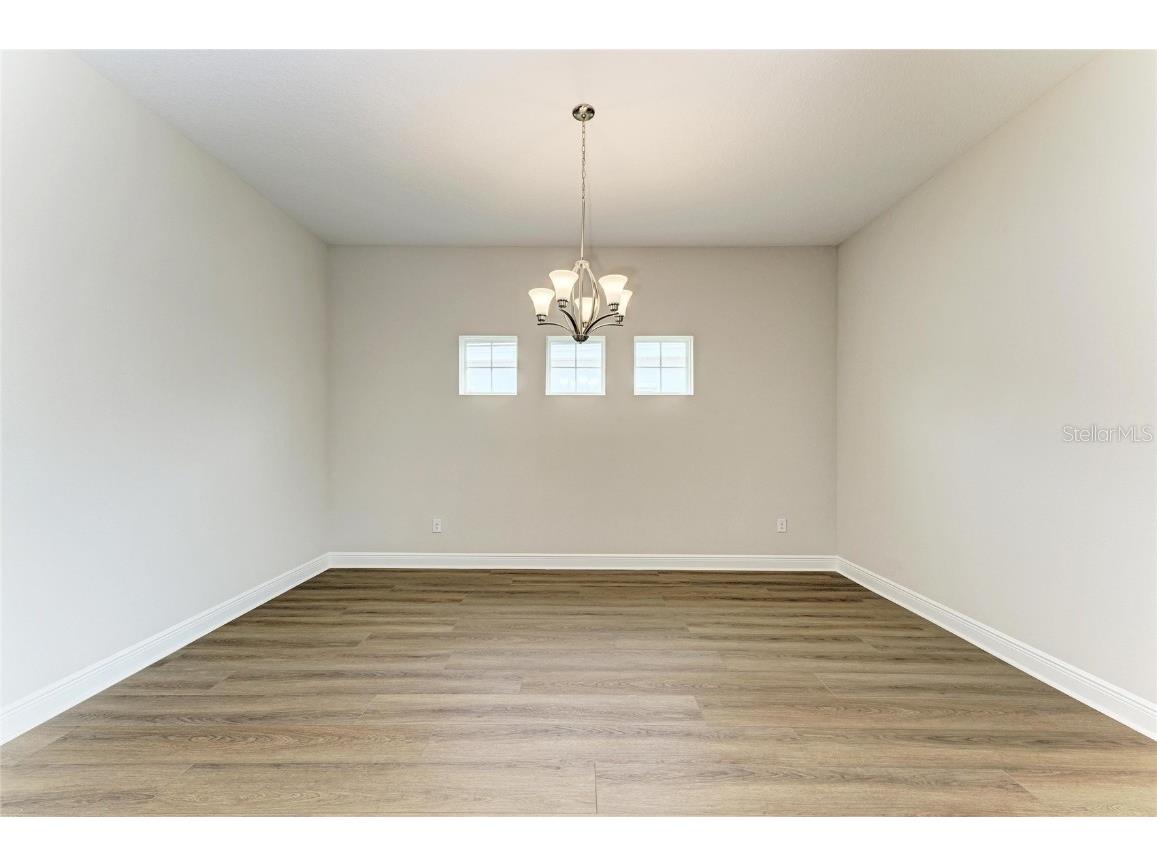 35244 Big Hawk Drive Zephyrhills FL 33541 TB8454929 image21