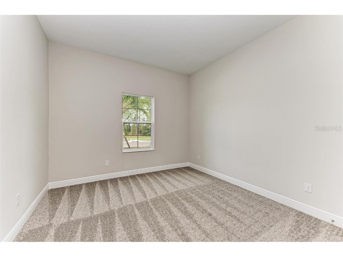 35244 Big Hawk Drive Zephyrhills FL 33541 TB8454929 image25