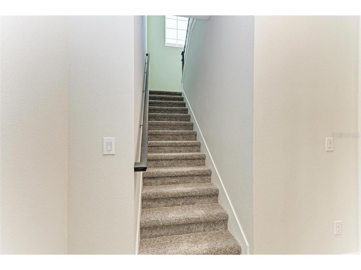 35244 Big Hawk Drive Zephyrhills FL 33541 TB8454929 image31