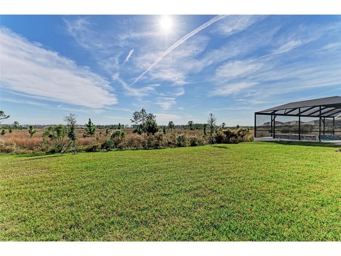 35244 Big Hawk Drive Zephyrhills FL 33541 TB8454929 image45