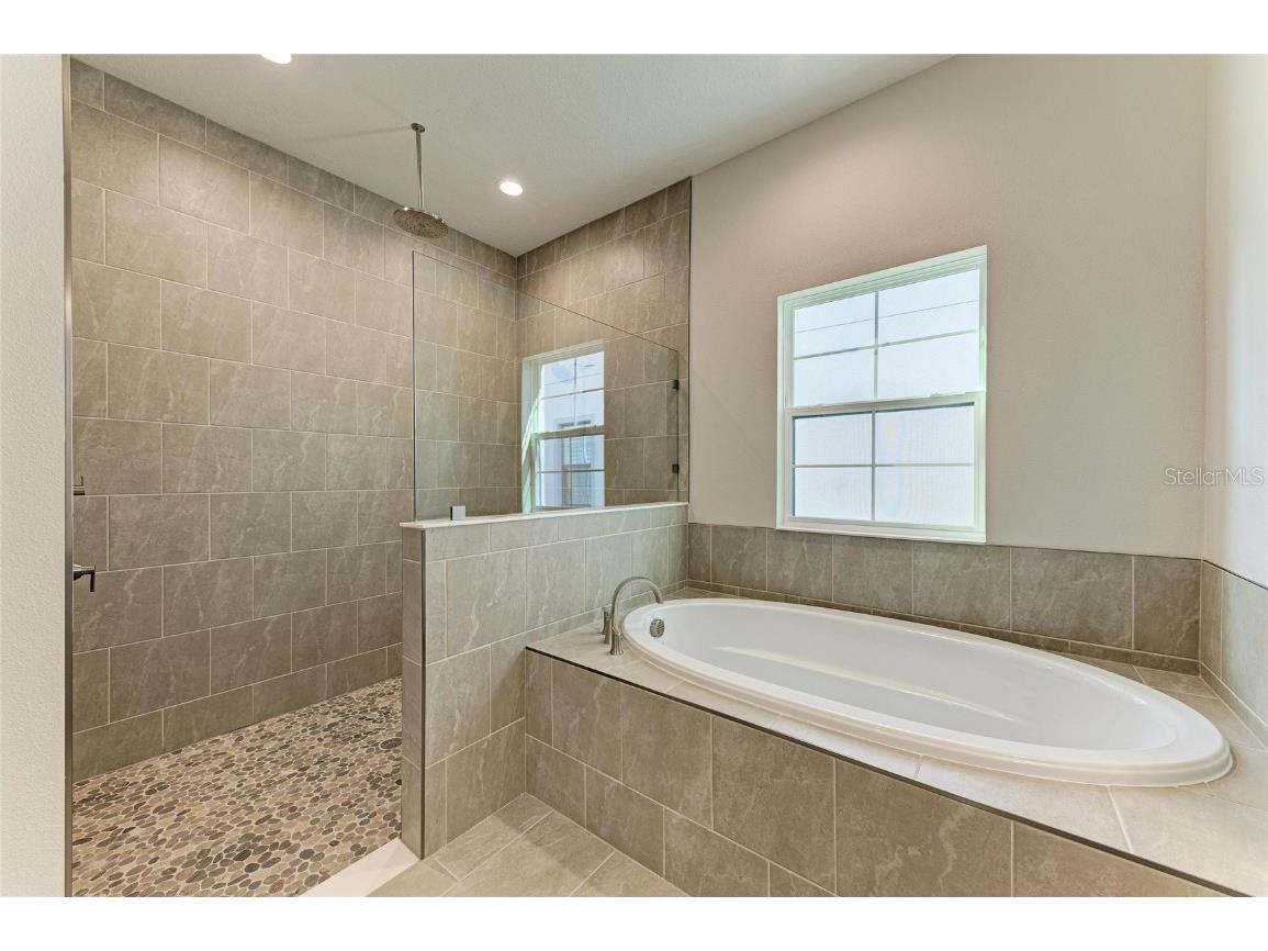 35244 Big Hawk Drive Zephyrhills FL 33541 TB8454929 image8