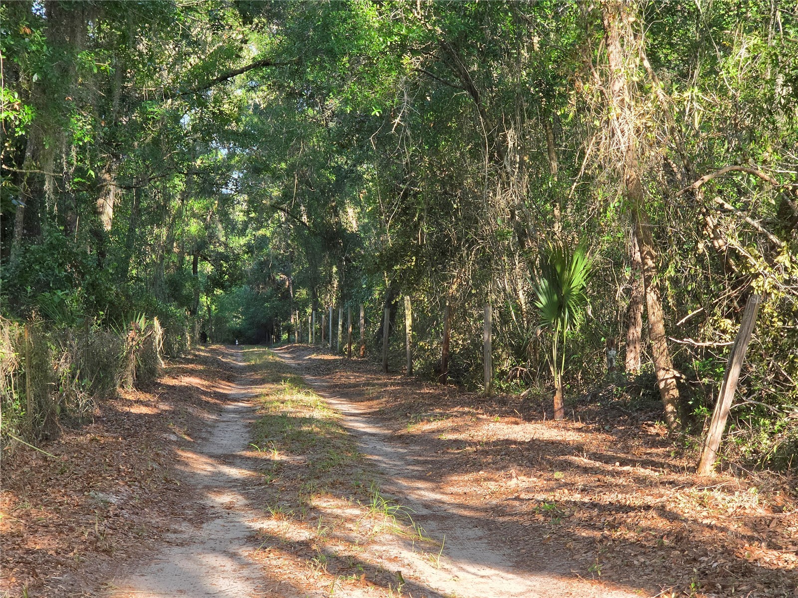 35245 William Lane Eustis FL 32736 V4949493 image10