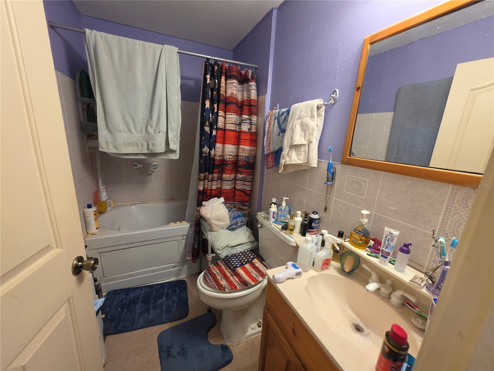 35245 William Lane Eustis FL 32736 V4949493 image16