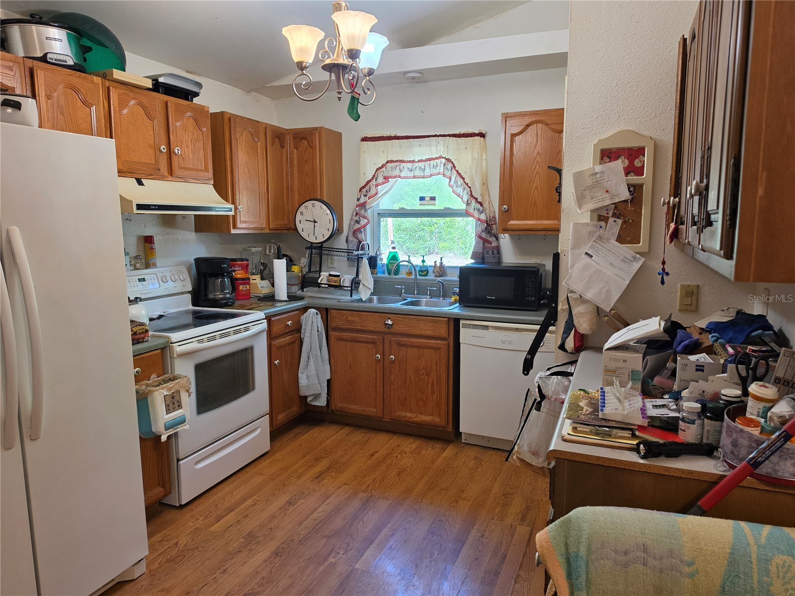35245 William Lane Eustis FL 32736 V4949493 image6