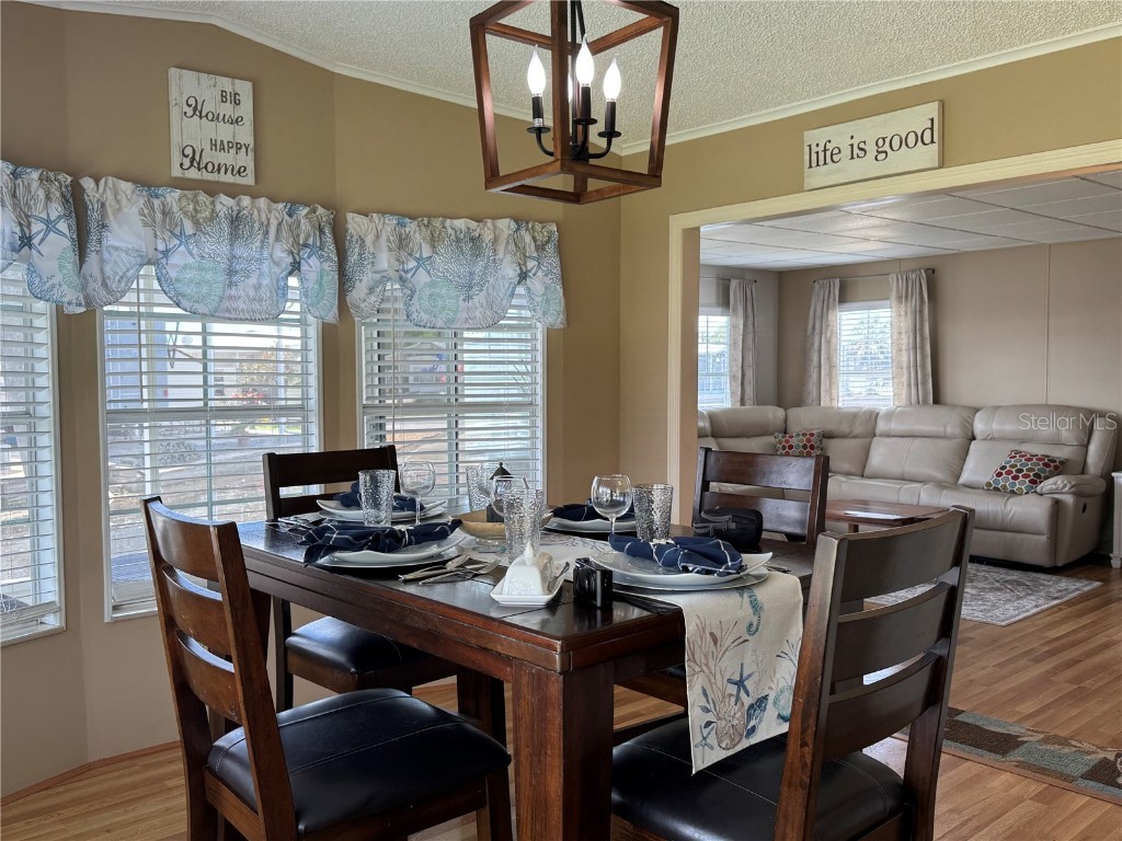 35246 Tiffani Lot 63 Court Zephyrhills FL 33541 TB8422680 image15