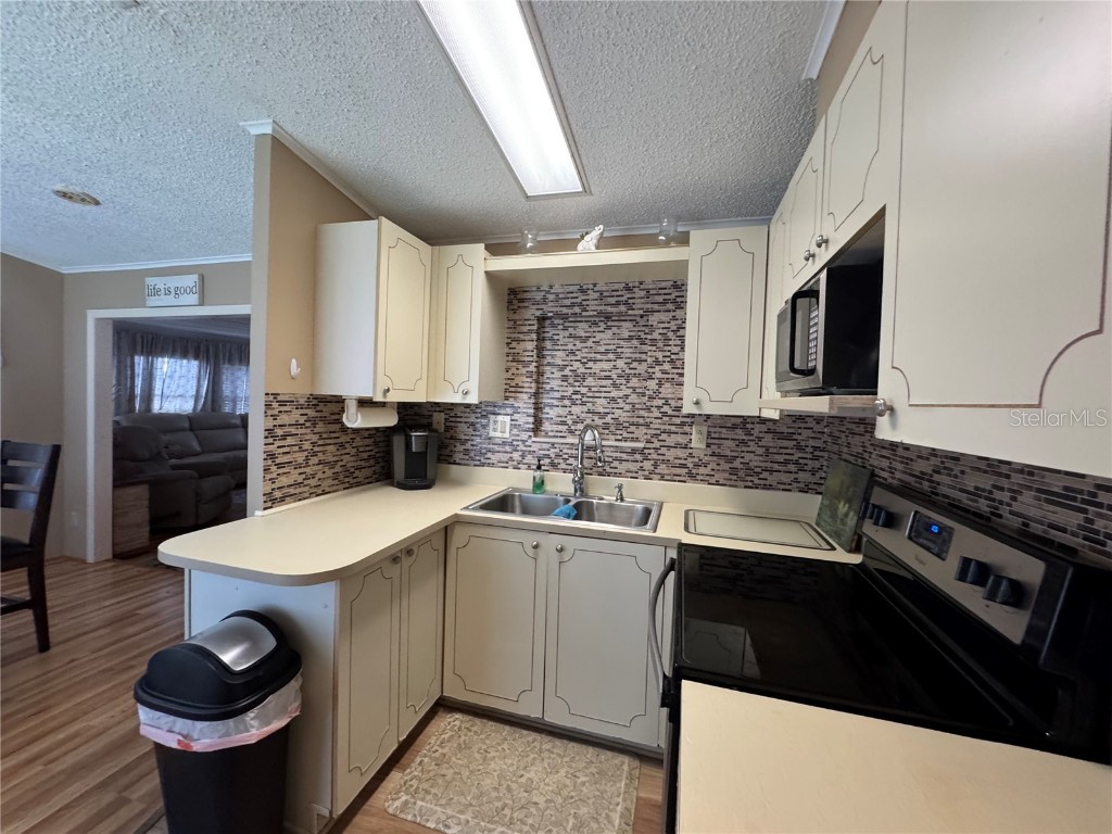 35246 Tiffani Lot 63 Court Zephyrhills FL 33541 TB8422680 image19