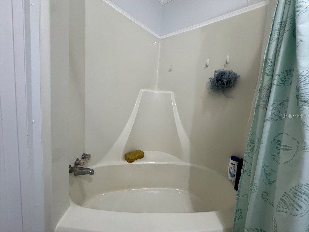 35248 Tiffani Court #LOT 064 Zephyrhills FL 33541 TB8390032 image20