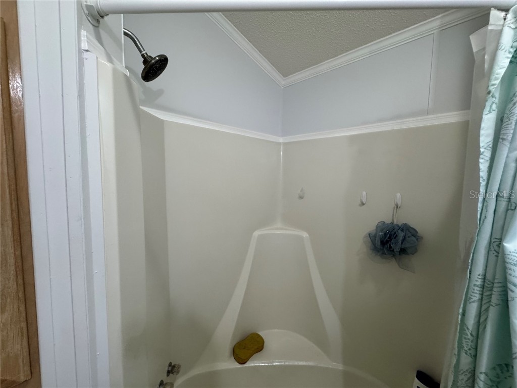 35248 Tiffani Court #LOT 064 Zephyrhills FL 33541 TB8390032 image21