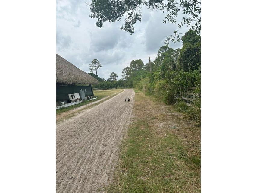 3525 D Rd Loxahatchee Groves FL 33470 O6368327 image3