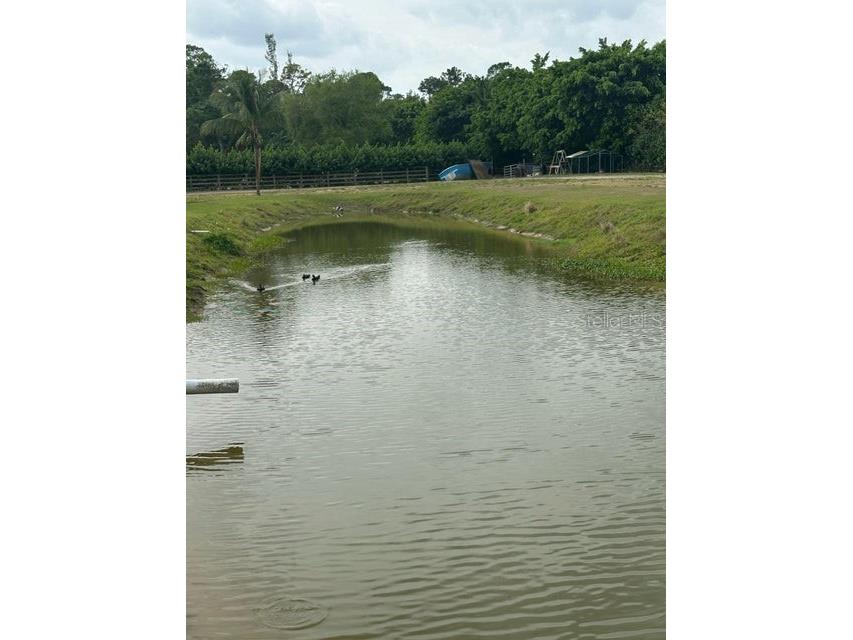 3525 D Rd Loxahatchee Groves FL 33470 O6368327 image7