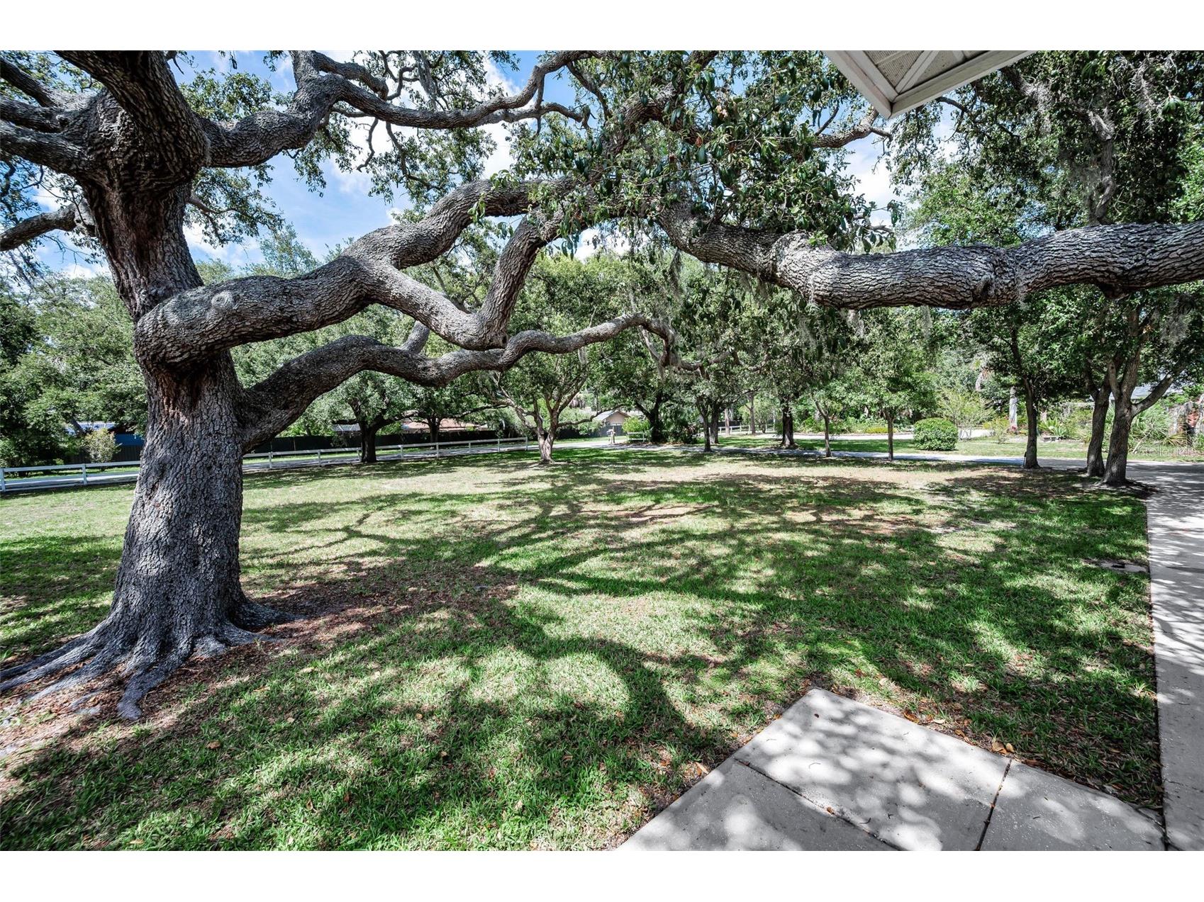 3525 Fairview Street Safety Harbor FL 34695 TB8512600 image13