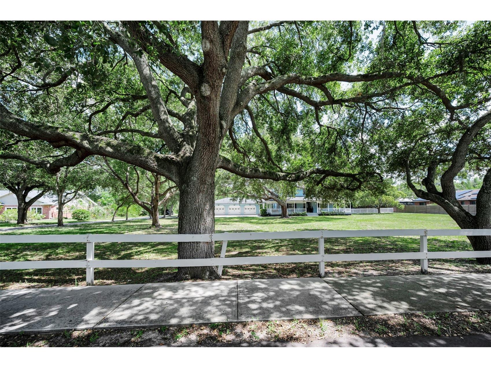 3525 Fairview Street Safety Harbor FL 34695 TB8512600 image4