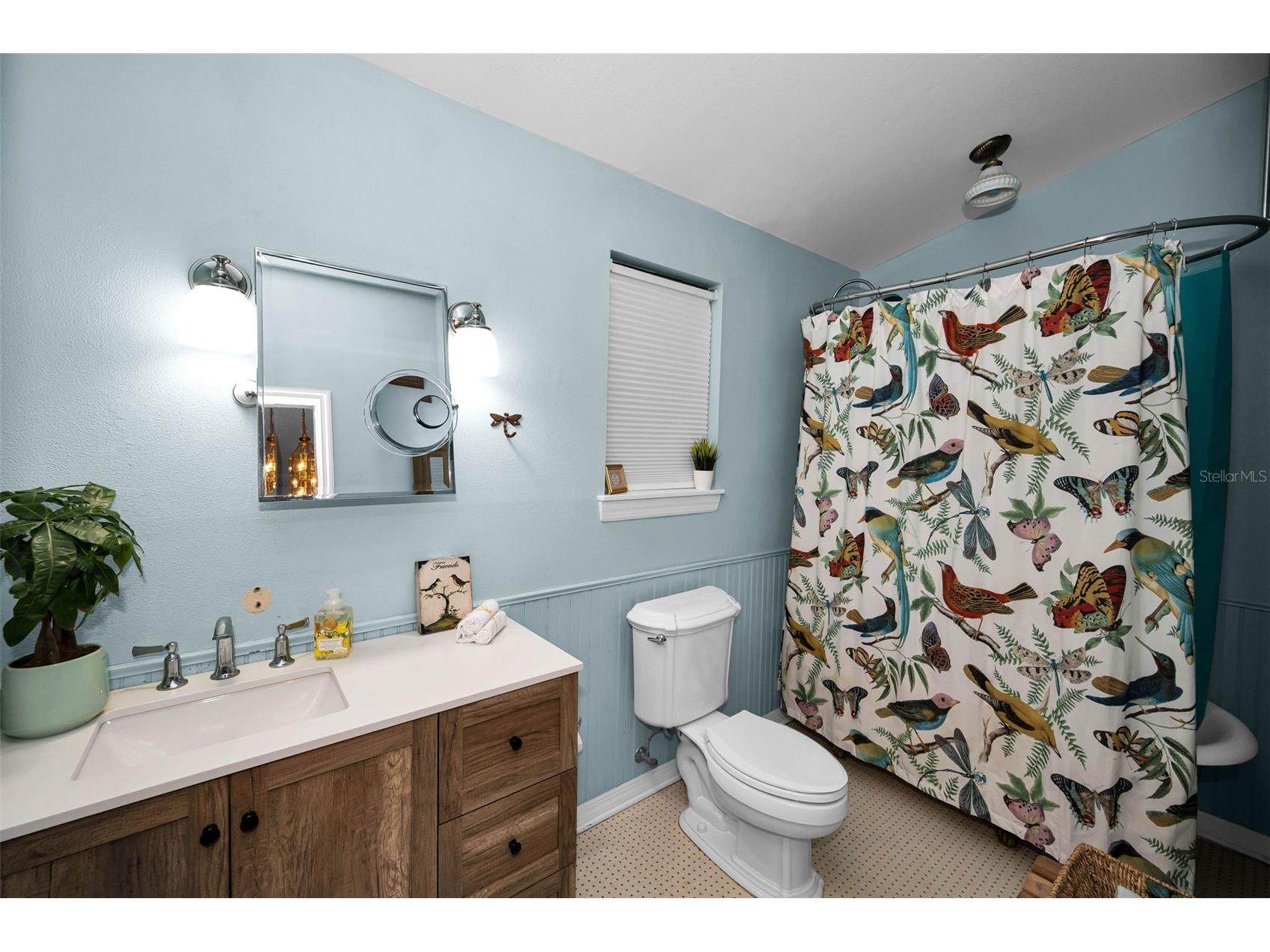 3525 Fairview Street Safety Harbor FL 34695 TB8512600 image50