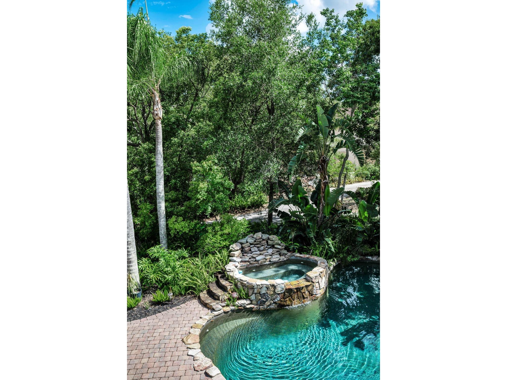 3525 Fairview Street Safety Harbor FL 34695 TB8512600 image59