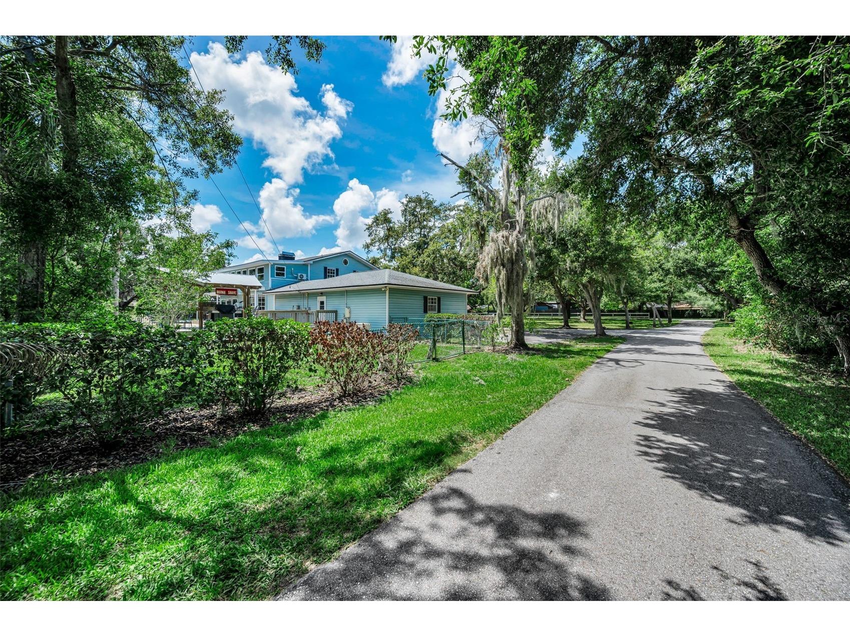 3525 Fairview Street Safety Harbor FL 34695 TB8512600 image7