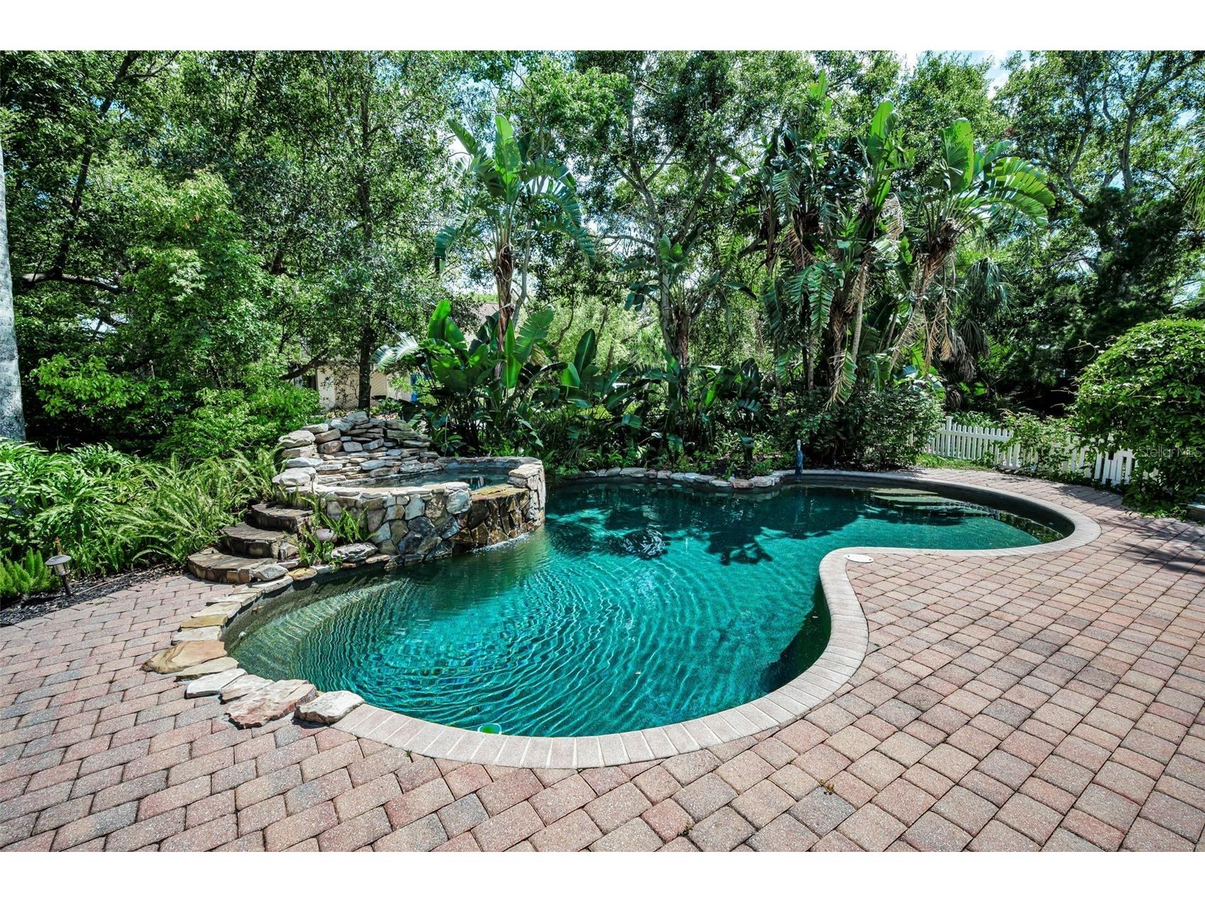 3525 Fairview Street Safety Harbor FL 34695 TB8512600 image73