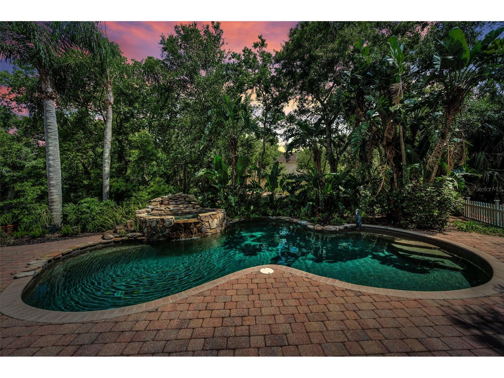 3525 Fairview Street Safety Harbor FL 34695 TB8512600 image74